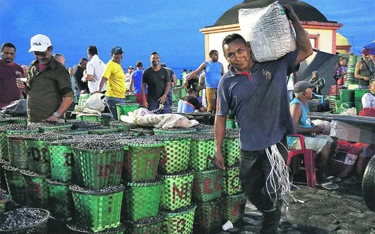 Ver-o-Peso pode ser reconhecido como patrimônio cultural imaterial 