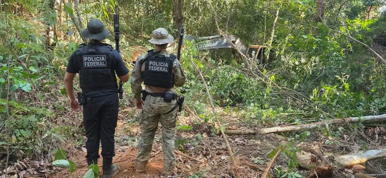 A operação teve como objetivo interromper a atividade e combater crimes ambientais na região.