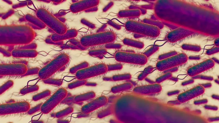 Causada pela bactéria Yersinia pestis, a peste pneumônica é uma forma grave da peste que afeta os pulmões e pode ser transmitida entre pessoas por partículas respiratórias.