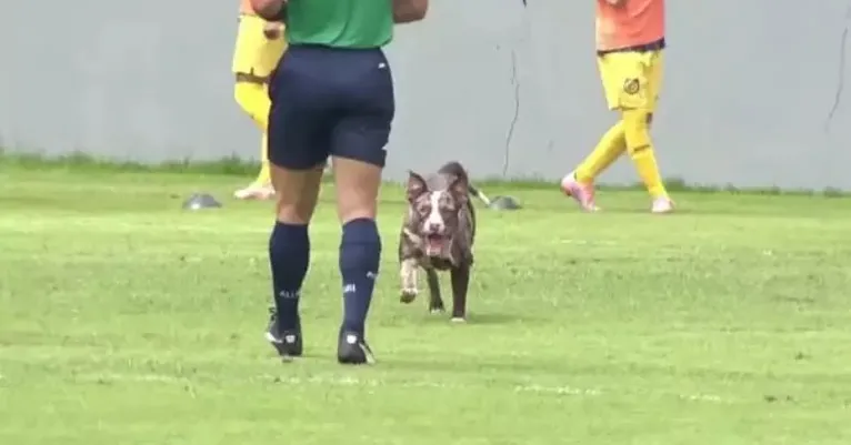 Cena inusitada tirou risada dos presentes e viralizou na internet