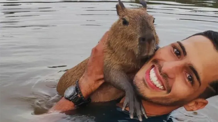 A capivara Filó ganhou fama nas redes sociais em 2023 ao lado de Agenor Tupinambá e se tornou um dos casos mais conhecidos de interação entre humanos e animais silvestres no Brasil.