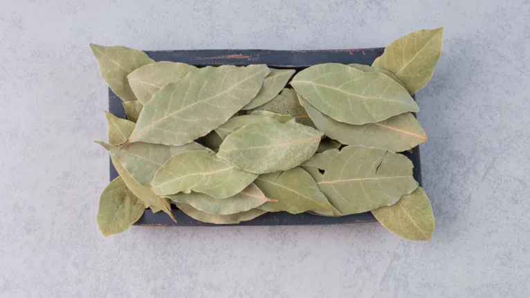 Na tradição popular, colocar folhas secas entre as roupas é associado ao perfume natural dos tecidos.