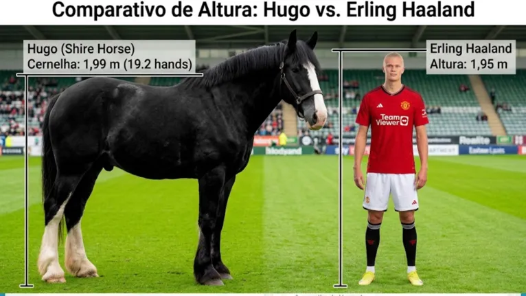 A cernelha de Hugo chega a 1,99 metro, cerca de 4 centímetros acima da altura de Erling Haaland, que mede aproximadamente 1,95 metro.