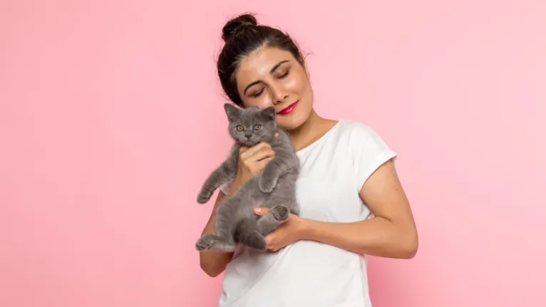 Quando o gato não quer carinho, sinais como cauda agitada, orelhas para trás e tentativas de se afastar indicam que é hora de respeitar seu espaço e interromper o contato.