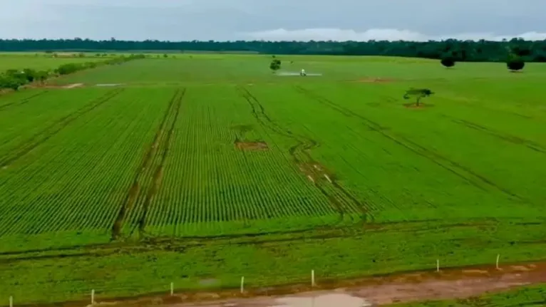 Tarcísio Filho herda dos pais fazenda gigantesca no Pará