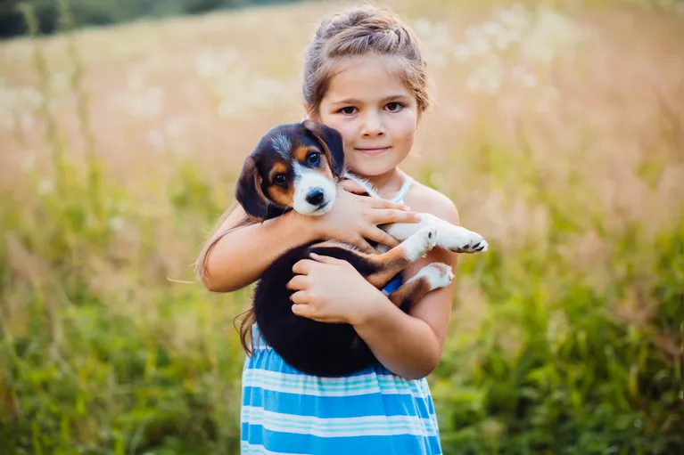 Estudo revela relação entre pets e comportamento infantil