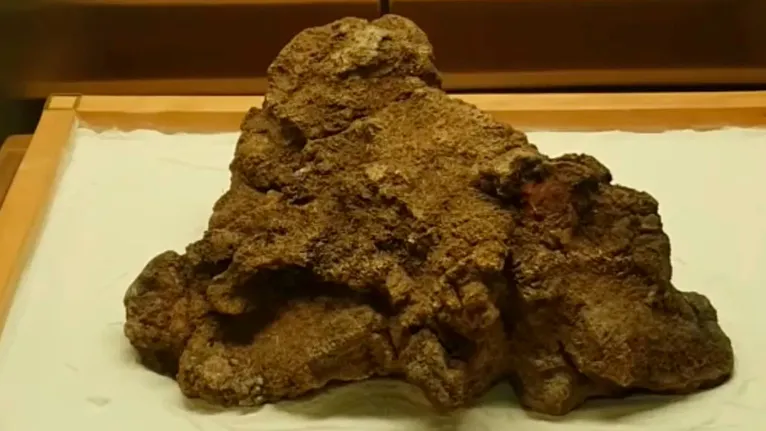 Mantida pelo Banco Central no Museu de Valores, em Brasília, a rocha paraense atrai visitantes por ser mantida em seu estado bruto original.