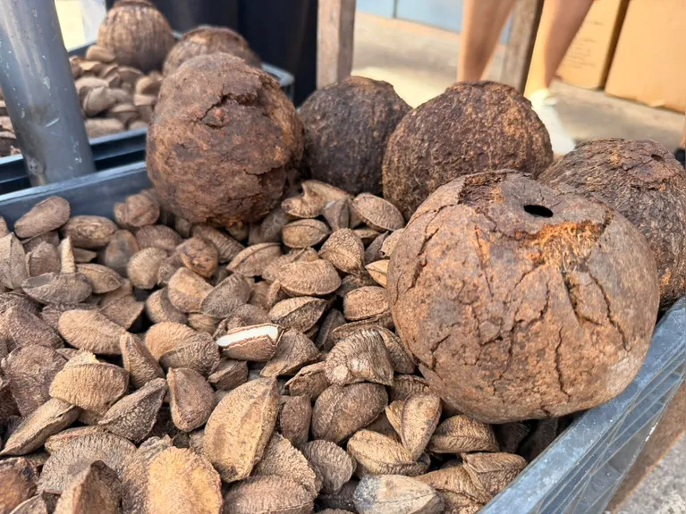 Ver-o-Peso ganha novos caminhos para aproximar visitantes da cultura de Belém