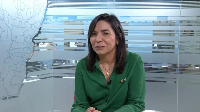 Maria Domingas Ribeiro, diretora técnica do Sebrae no Pará e vice-presidente da Abase Norte. Com 23 anos de trajetória na instituição, a convidada compartilha experiências acumuladas ao longo de sua carreira.