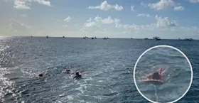 Imagem ilustrativa da notícia Turista morre em Noronha e câmera flagra; veja o vídeo