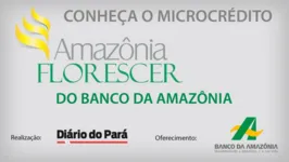 Imagem ilustrativa da notícia Programa Amazônia Florescer completa 14 anos de incentivos