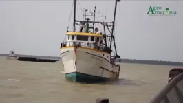 Imagem ilustrativa da notícia Vídeo: Conheça a cadeia produtiva de pescado do Pará