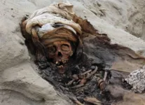Os restos mortais foram descobertos em um pequeno espaço de cerca de 3 metros,