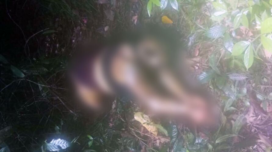 /Corpo estava em área de mata, já em estado avançado de putrefação.