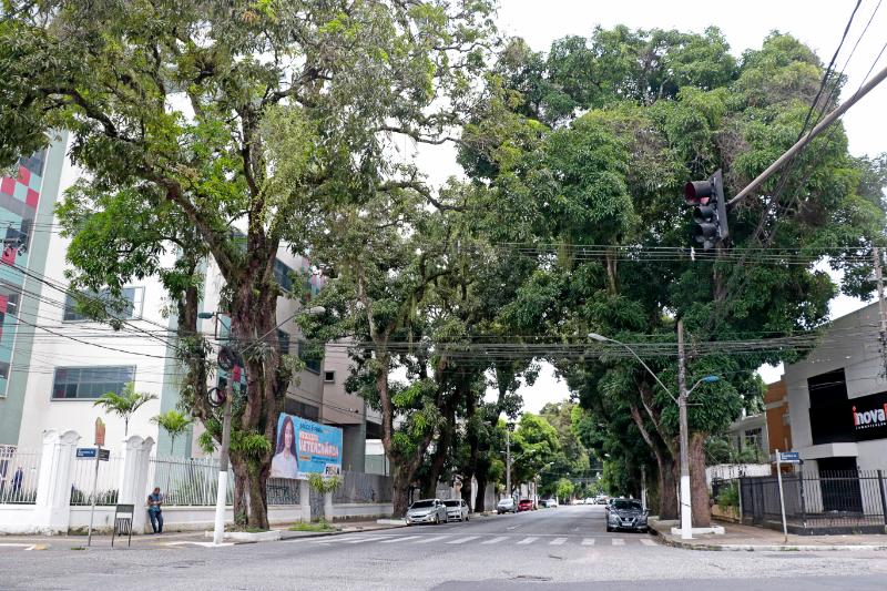 
        
        
            Avenida Generalíssimo: a história da saúde no Pará
        
    