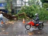 Imagem ilustrativa da notícia Cuidados para pilotar na chuva com segurança