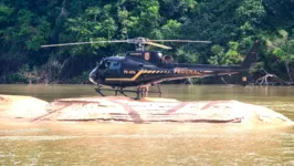 A Polícia Federal fez a operação Rio Curuá em Novo Progresso