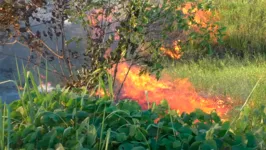 Imagem ilustrativa da notícia Focos de incêndios registrados em diversos pontos de Marabá