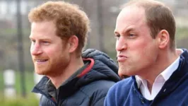 Os príncipes Harry e William.