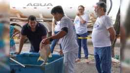 Feira do Peixe Vivo em Paragominas mostrou a qualidade da piscicultura do município.