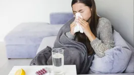 O Pará também registrou 100 casos positivos para o vírus Influenza A e 829 casos positivos para o Coronavírus