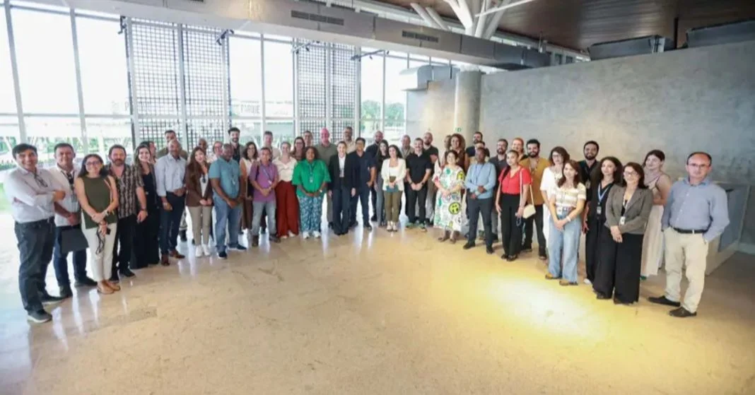 Com menos de três centímetros, a perereca-de-vidro vive em florestas úmidas.