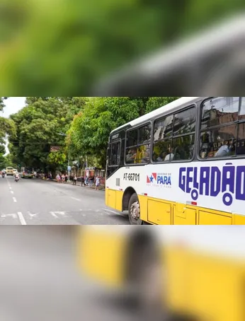 Ao longo de aproximadamente 20 meses de acompanhamento, 84% dos participantes desenvolveram células T específicas para o KRAS, e muitos permaneceram livres da doença.