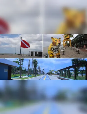 Imagem ilustrativa da imagem Égua, o Pará está no centro do mundo: Belém vive orgulho histórico com a COP30 