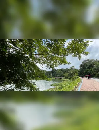 Imagem ilustrativa da imagem Maior trilha sinalizada da América Latina será inaugurada na COP30 no Pará