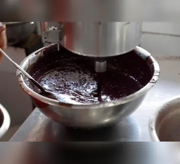 Quatro casos de Chagas acendem alerta e reforçam fiscalização do açaí em Vigia