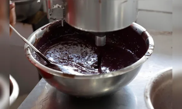 Quatro casos de Chagas acendem alerta e reforçam fiscalização do açaí em Vigia