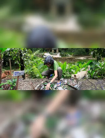 Imagem ilustrativa da imagem Floresta que gera futuro: o novo agronegócio na Amazônia