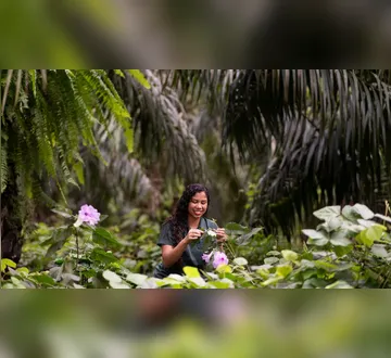 Agropalma comprova eficiência das técnicas naturais no manejo da palma