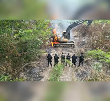 Polícia Federal fecha três garimpos em Terra Kayapó no Pará