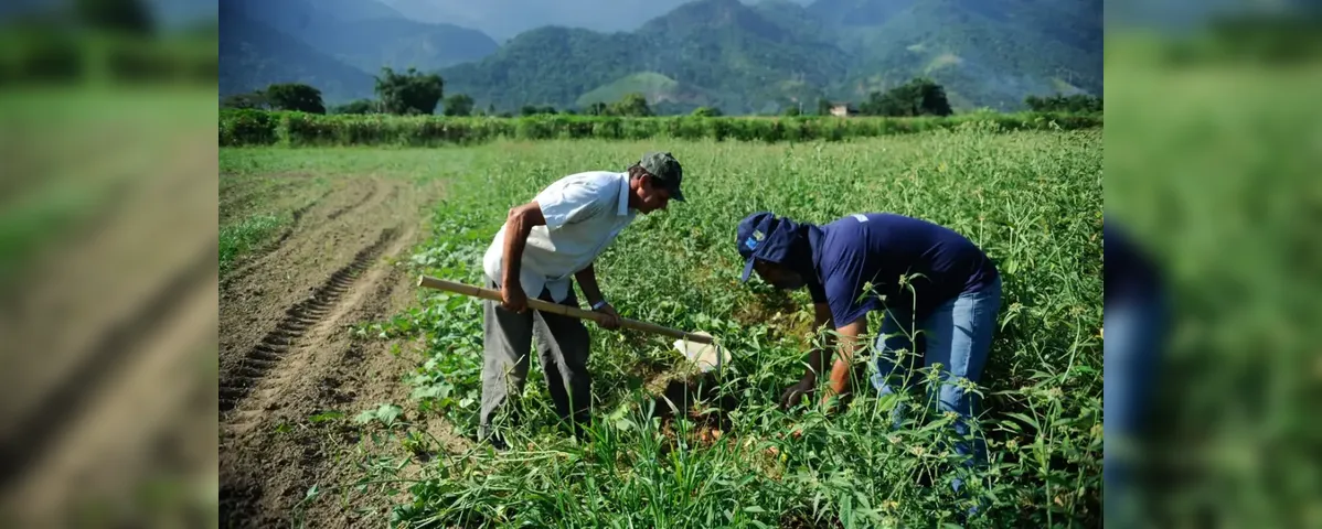 Imagem ilustrativa da imagem Agricultura familiar ganha destaque na COP 30 em Belém