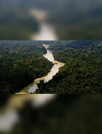 Mantê-los no local correto evita que os mesmos estraguem e possam inclusive, causar infecções alimentares.