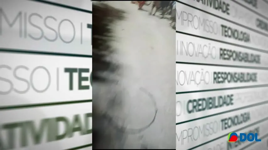 Imagem ilustrativa da notícia Atentado: homem é baleado ao sair do trabalho no Marajó