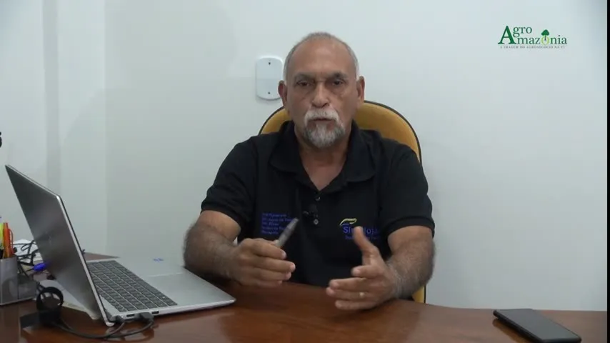 Imagem ilustrativa do vídeo: Produção de leite no Pará gera novos empregos 