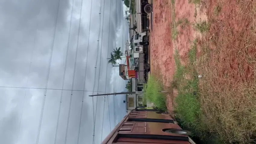 Imagem ilustrativa da notícia Vídeo: cavalo é abandonado amarrado em Ananindeua