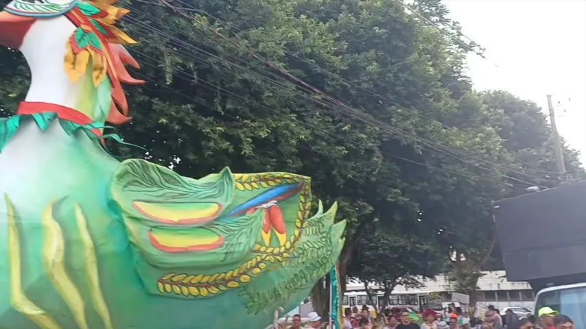 Imagem ilustrativa da notícia Vídeo: Bloco “Pato de Máscara” arrasta multidão em Belém