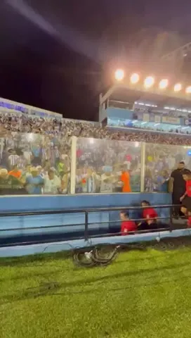 Imagem ilustrativa da notícia Vídeo: árbitro cita confusão em súmula de Paysandu X Goiás