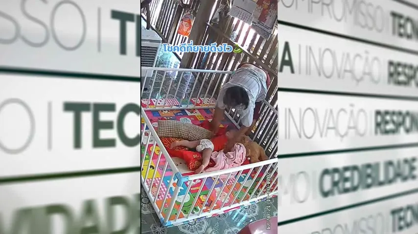 Imagem ilustrativa da notícia Vídeo: avó salva bebê de ataque de cobra na Tailândia