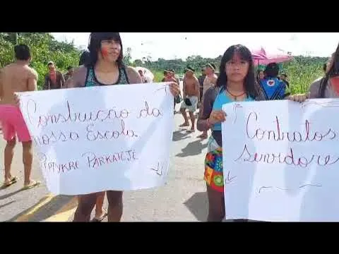 Imagem ilustrativa da notícia Vídeo: indígenas da Terra Mãe Maria bloqueiam rodovia BR-222