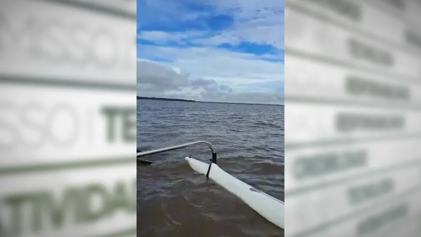 Imagem ilustrativa da notícia Vídeo: cachorro perdido no meio do rio é resgatado em Belém