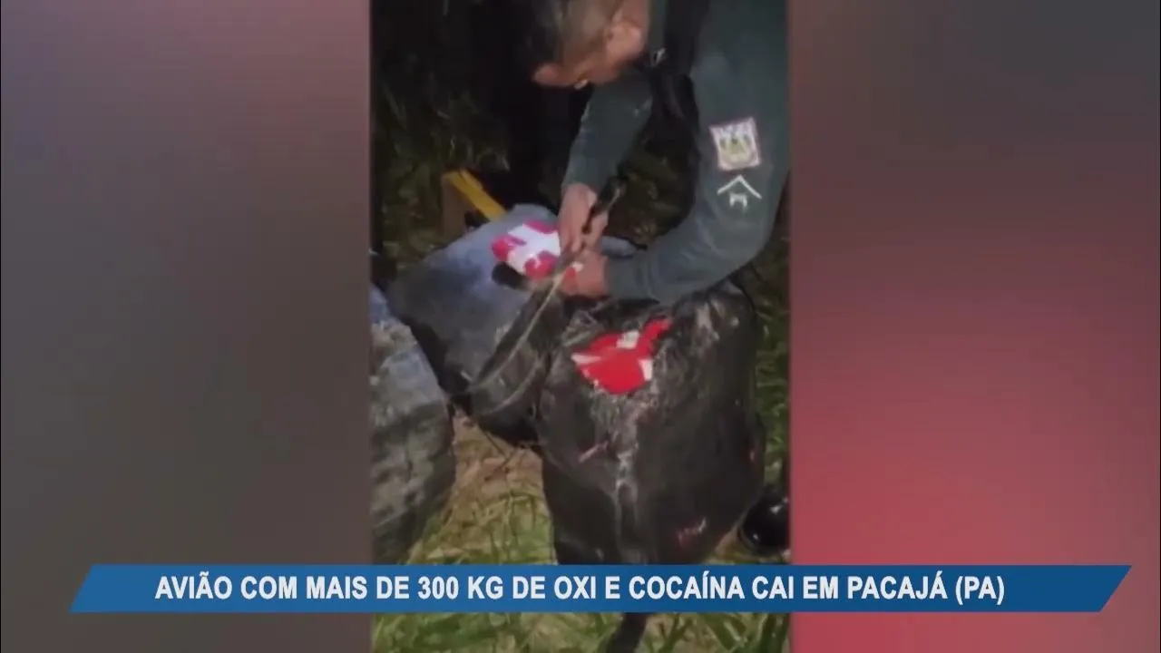 Imagem ilustrativa da notícia Vídeo: mais de 300 kg de drogas são achados em avião no PA!