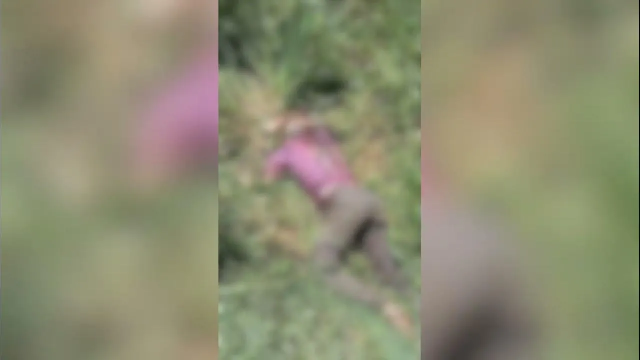 Imagem ilustrativa da notícia Vídeo: corpo de homem é encontrado em matagal em Marabá
