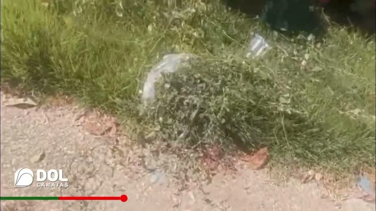 Imagem ilustrativa da notícia Vídeo: moradores reclamam de lixo nas imediações da Folha 20
