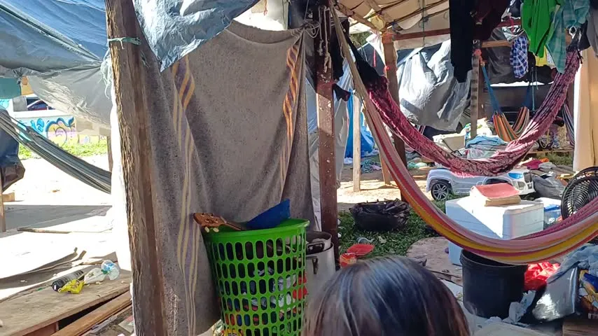 Imagem ilustrativa da notícia Vídeo: Warao equlibram luta pela sobrevivência e esperança