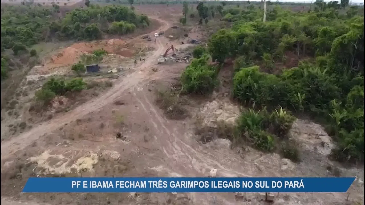 Imagem ilustrativa da notícia Vídeo: PF e Ibama fecham 3 garimpos ilegais no sul do Pará