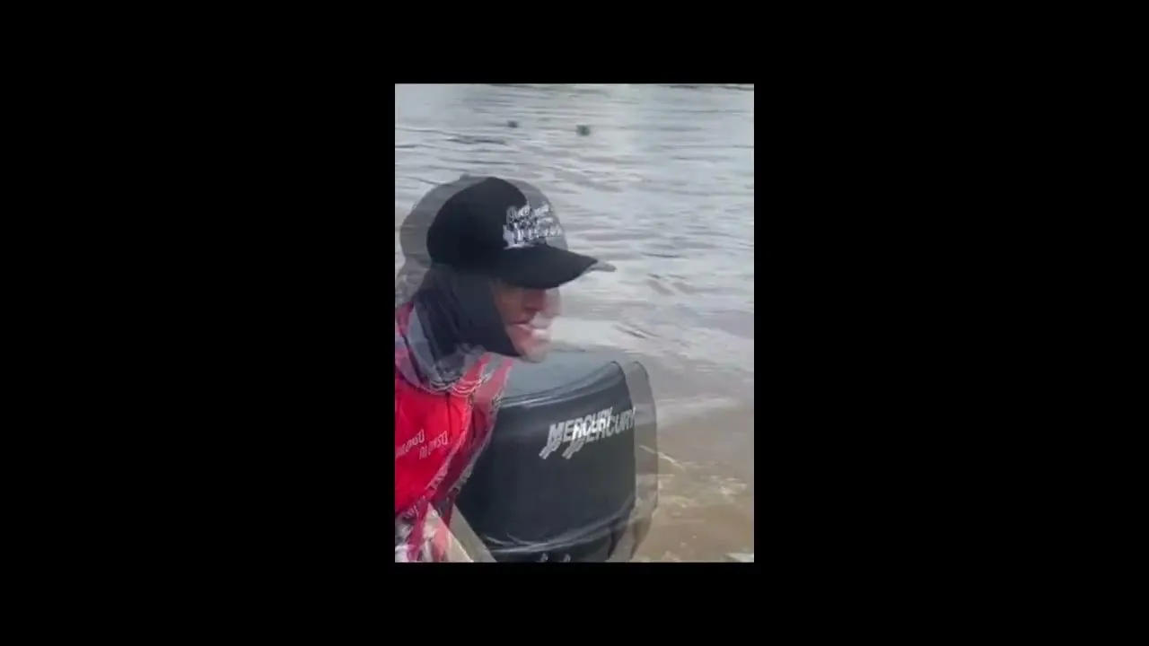 Imagem ilustrativa da notícia Vídeo: pescadores flagram onça e filhotes nadando em rio